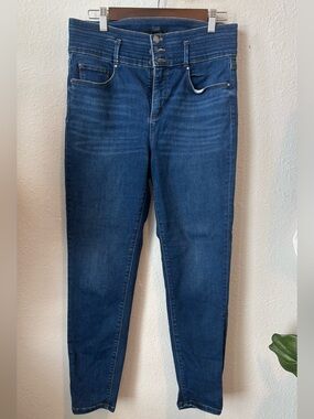 Ann Taylor Women's Dark Blue Skinny Jeans